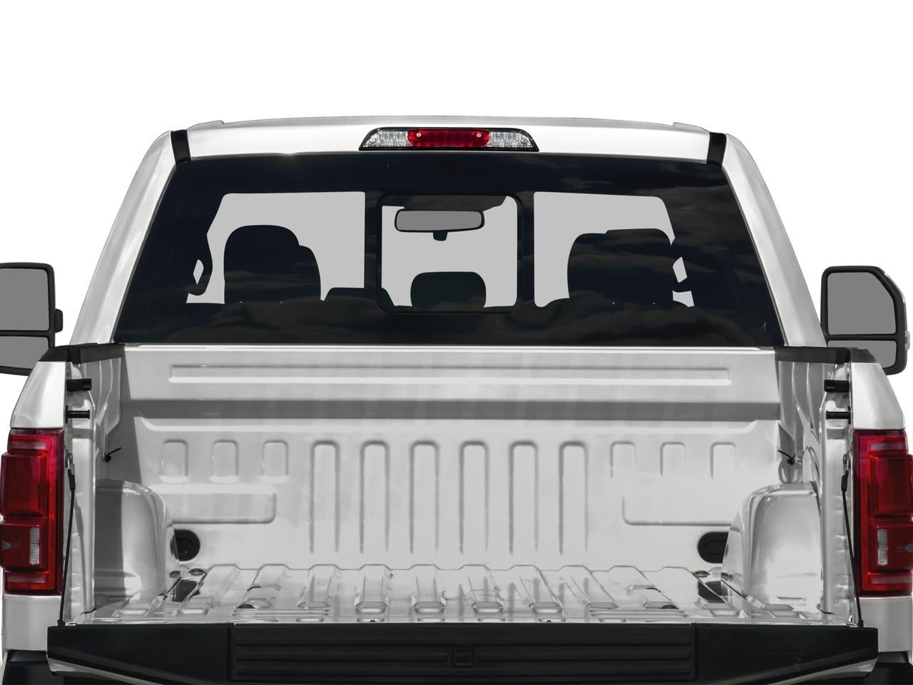 2017 Ford F-150 Platinum 2WD SuperCrew 5.5' Box