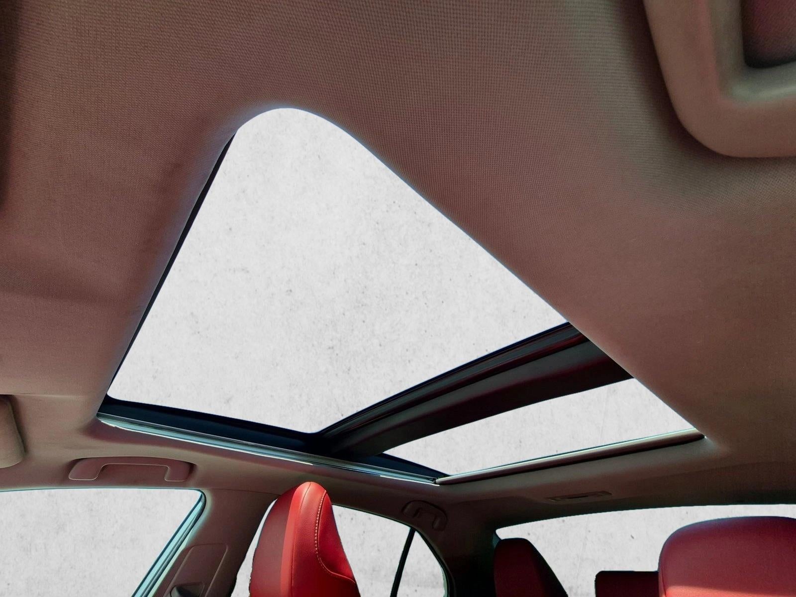 2023 Toyota Camry XSE Auto (Natl)