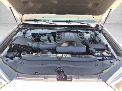 2015 Toyota 4Runner RWD 4dr V6 SR5 (Natl)